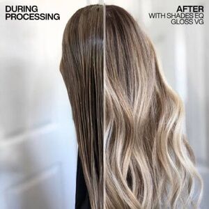1) Redken Shades 10VG